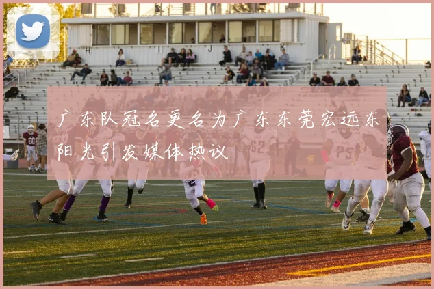 广东队冠名更名为广东东莞宏远东阳光引发媒体热议