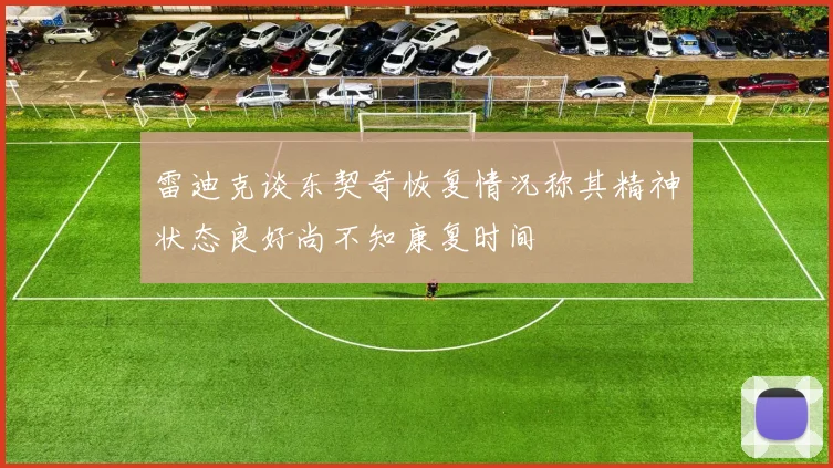 雷迪克谈东契奇恢复情况称其精神状态良好尚不知康复时间