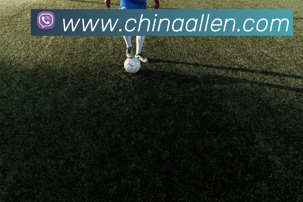 奖项图1